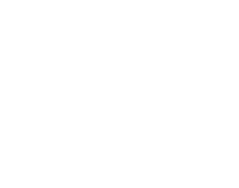 Mounted riders carrying banners, charging forward